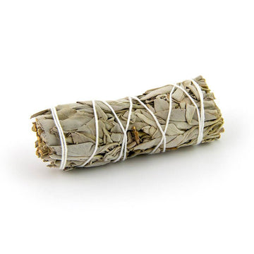 Small sage smudge stick isolated on white background for cleansing and purification.